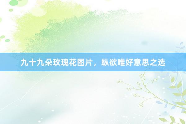 九十九朵玫瑰花图片，纵欲唯好意思之选