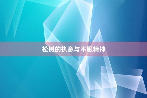 松树的执意与不服精神