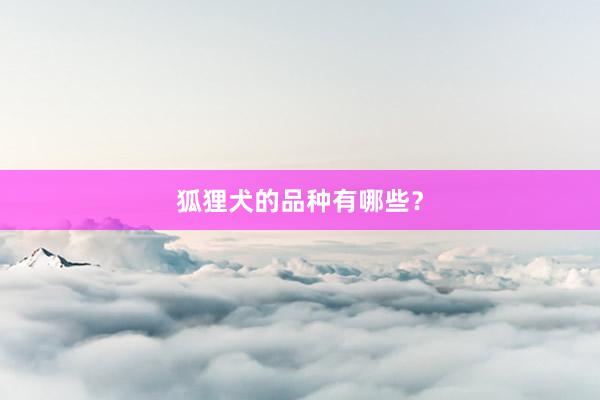 狐狸犬的品种有哪些?